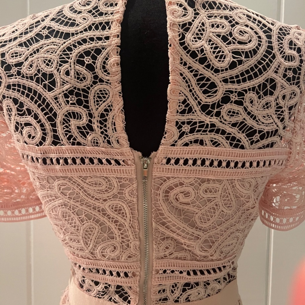 Self-Portrait Pink Lace Dress - Picture 6 of 9